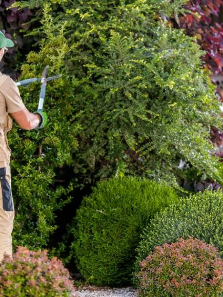 Certyfikat Eksperta w Zakresie Ogrodnictwa, Parków i Terenów Zielonych – Dyplom Poświadczony Przez Notariusza Europejskiego –